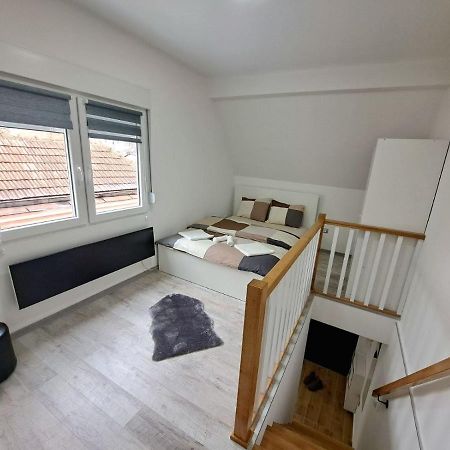 Mini Duplex Apartman Dusanovac Bagian luar foto